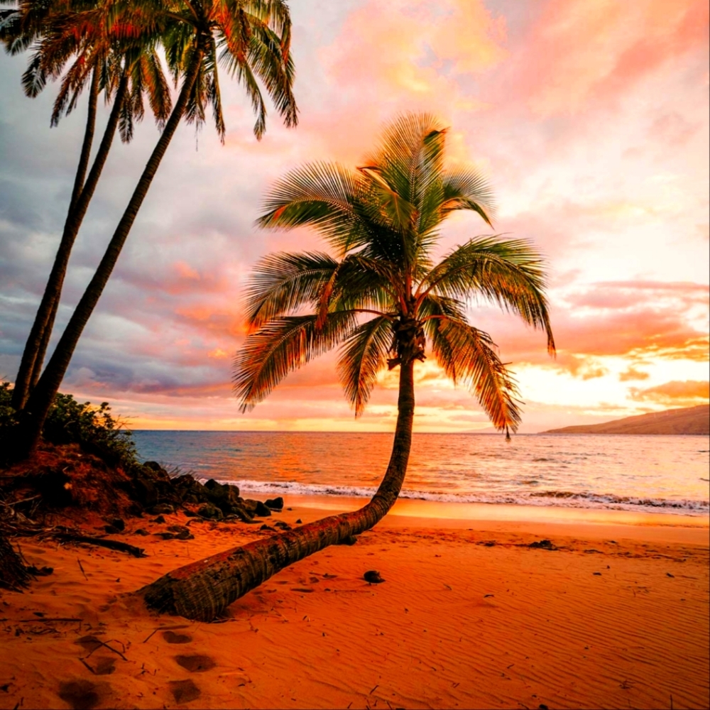 Meet your Posher, Luxee Lou